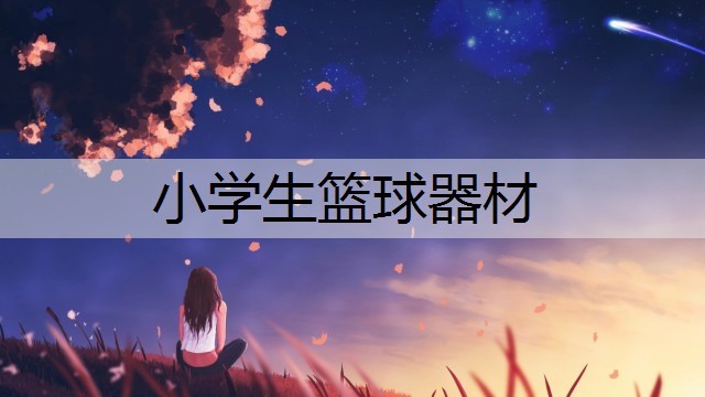小学生篮球器材 小学生篮球器材