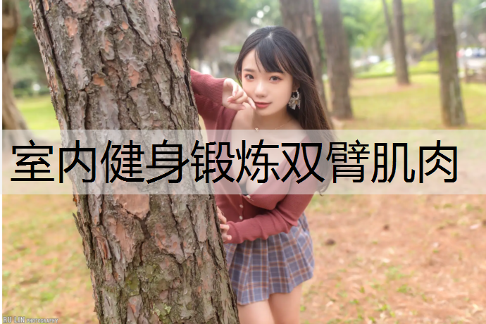 室内健身锻炼双臂肌肉